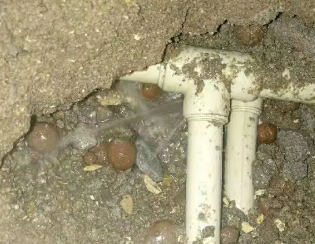 屯昌卫生间测漏