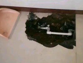 屯昌卫生间测漏水多少钱